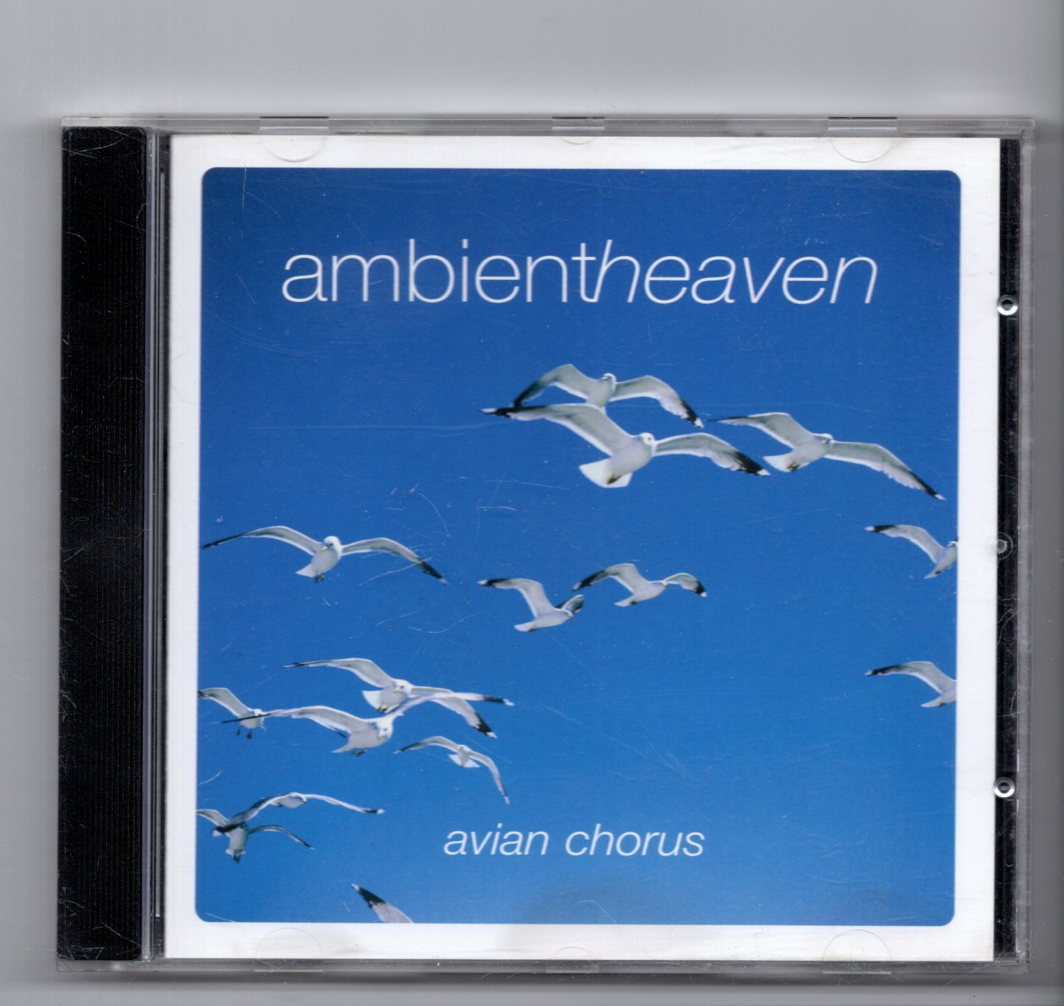 (JM785) Ambient Heaven, Avian Chorus - 2002 CD