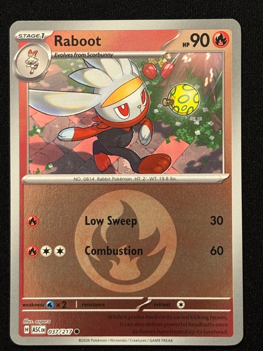 Pokemon TCG - Ascended Heroes - (Reverse Holo) - Raboot