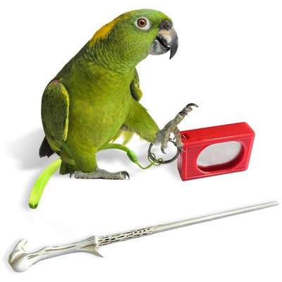 Parrot Training Clicker with Target Stick, Getting Started Bird Clicker Train...