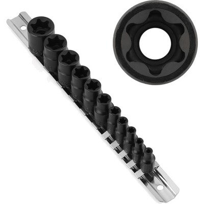 E-torx Starsatz 11-tlg. Steckschlüssel Set mit Rail E4-E20 Chrom-Vanadium