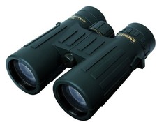 Steiner Observer 8x42 Binoculars - Free Shipping