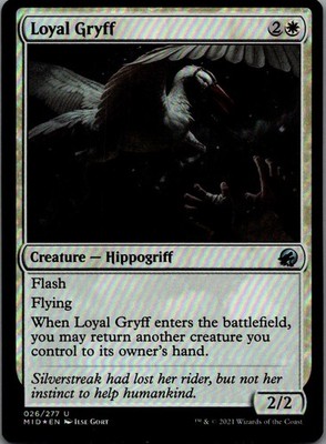 Loyal Gryff U Foil MID Innistrad: Midnight Hunt 26 NM