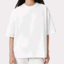 All Saits Oversized Dani T-Shirt. Optic White. Full length Back Zipper. Xs