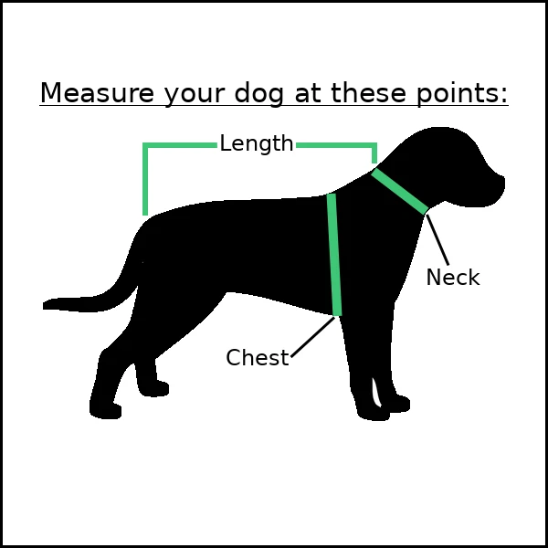Suéter caveiras e ossos cruzados para cachorros de estimação Halloween e mais longo tamanho M tem furo de coleira - Imagem 3 de 3