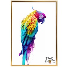 A2 A3 A4 Black Thin Picture Frames Silver Poster Frames Photo Frame Gold Frame