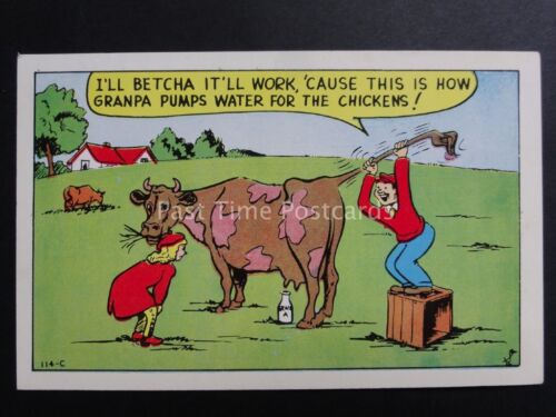 USA Comic Postcard: Milking Cow Theme I'LL BETCHA IT'LL WORK.... - Picture 1 of 2