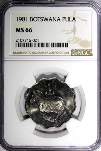 Botswana 1981 Pula Zebra Burchell's zebra NGC MS66 TOP GRADED BY NGC KM# 8 (21) - Picture 2 of 5