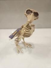 Halloween Skeleton Crow Bird Haunted House prop decor New