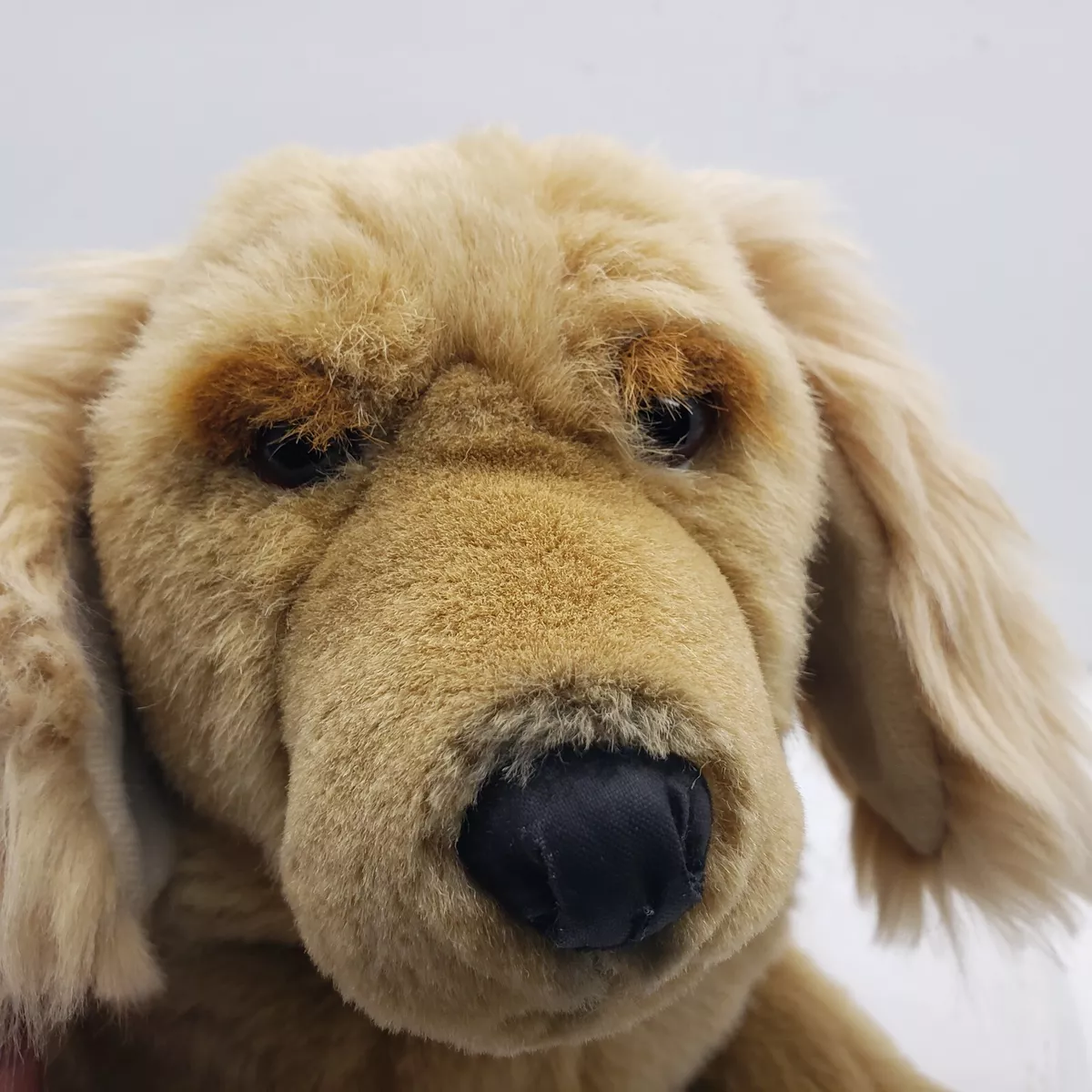 Sammie hotsell the dog