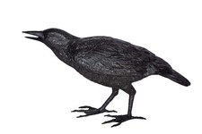 Raven Watching Forward Bronze State - Size: 22"L x 5"W x 7"H.
