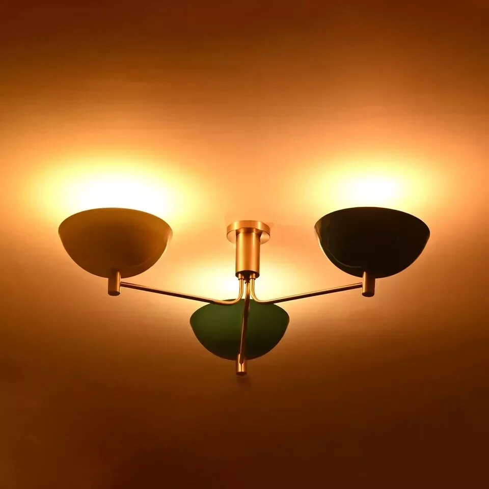 Picture 4 of 7