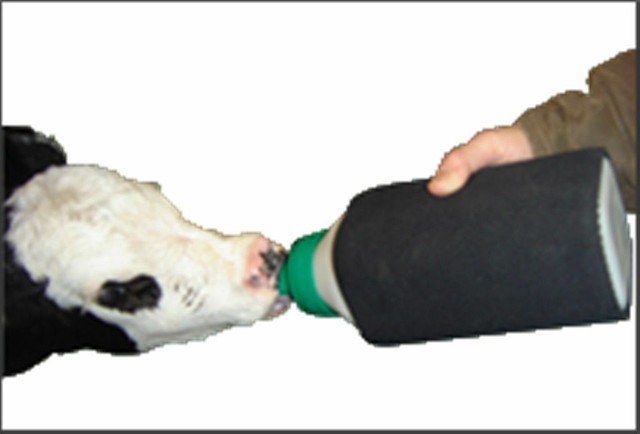 koozie bottle warmer