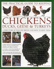 The Practical Guide to Keeping Chickens, Ducks, Geese & Turkeys :