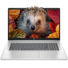 HP Business Laptop 17.3" (1920 x 1080) 6 cores AMD Ryzen 5 UpTo 64GB RAM 2TB SSD