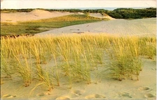 Cape Cod Massachusetts MA : NATURE SCENE d/13 AW9633