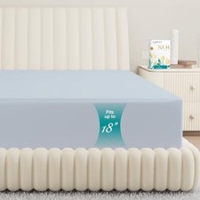 100 Egyptian Cotton Twin Fitted Sheet Only - 800 Thread Count 16" Deep Pocke...