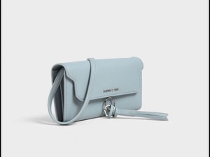 charles and keith wallet bag