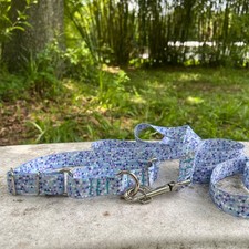 1 inch wide Geometric Martingale Dog Collar and Leash Set - Slip On Martingale