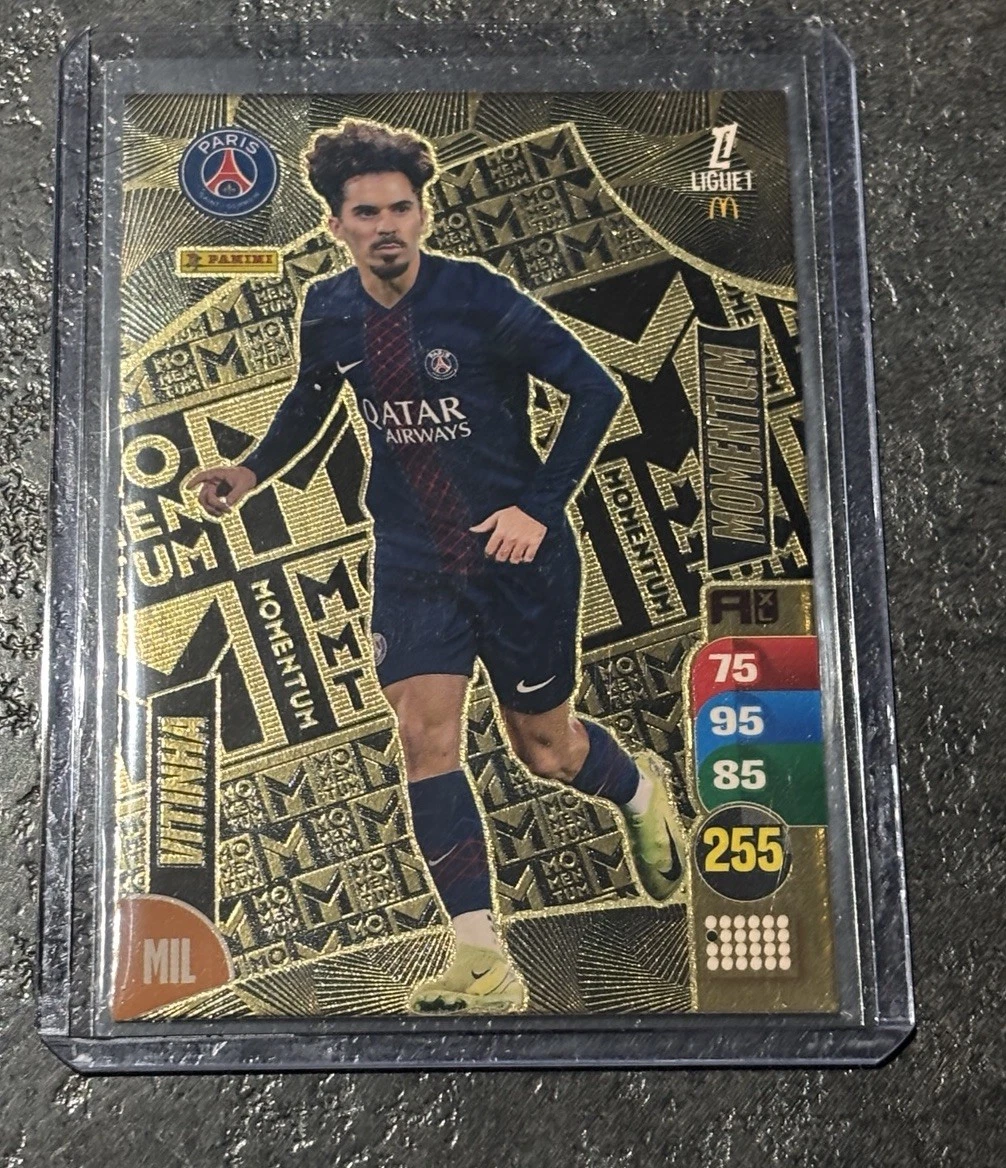 Panini David Ginola PSG – Carte N°267 Saison 1992-1993 Très Bon état