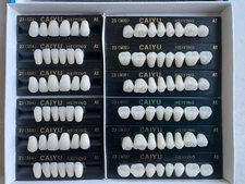 3 Complete Sets High Quality Acrylic Denture Teeth A1 A2 A3 A3.5 Size S M L X-L