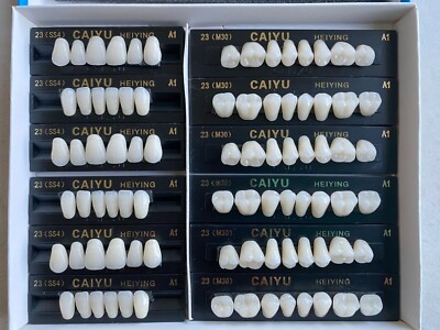 3 Complete Sets High Quality  Denture Teeth A1 A2 A3 A3.5  S M L X-L 84 In BOX