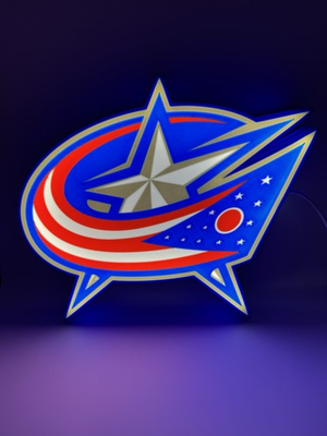 #ad Columbus Blue Jackets NHL Hockey Light Up LED Neon Sign With USB $39.99