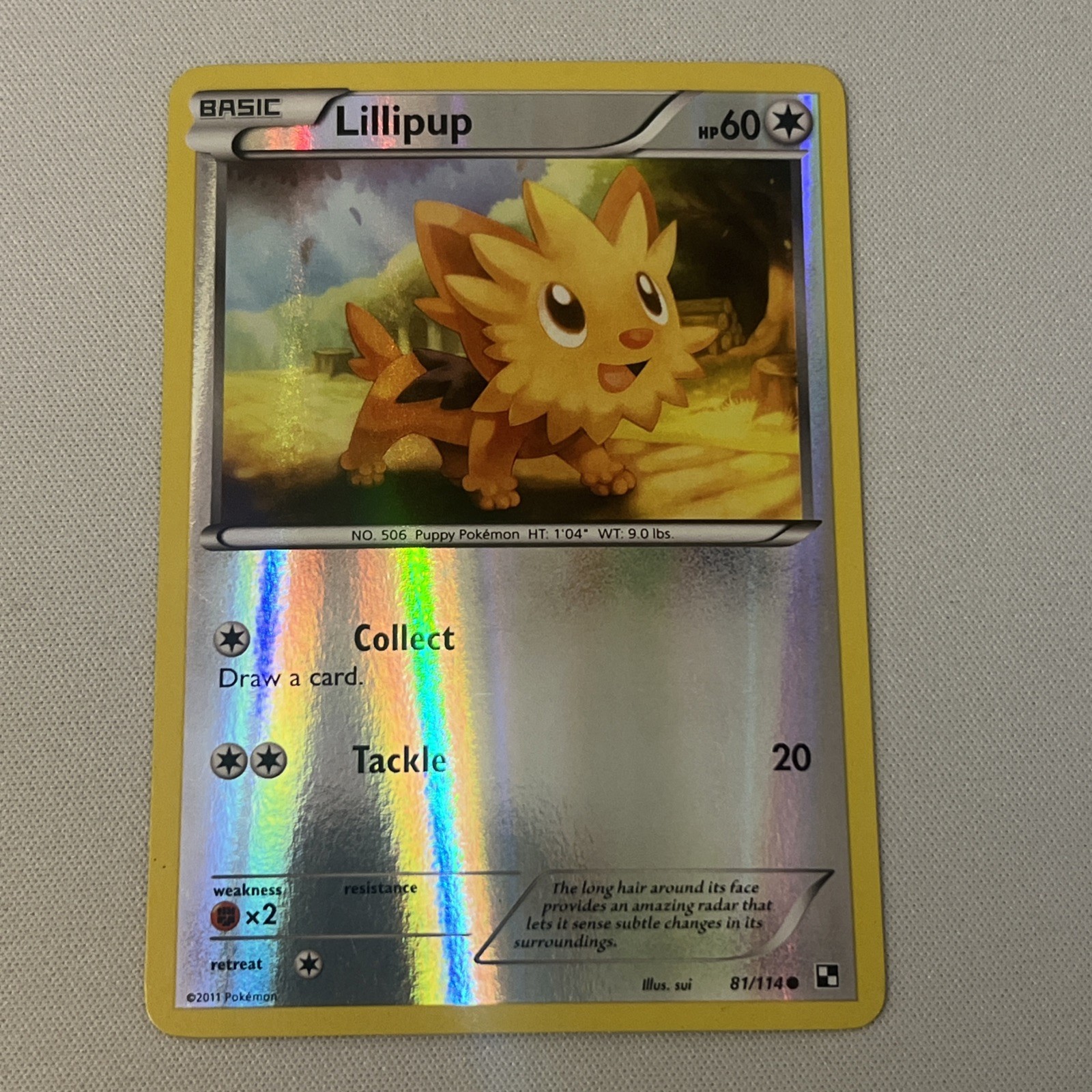 💥 Lillipup (81) 81/114 Reverse Holo Black and White Pokemon TCG 2011