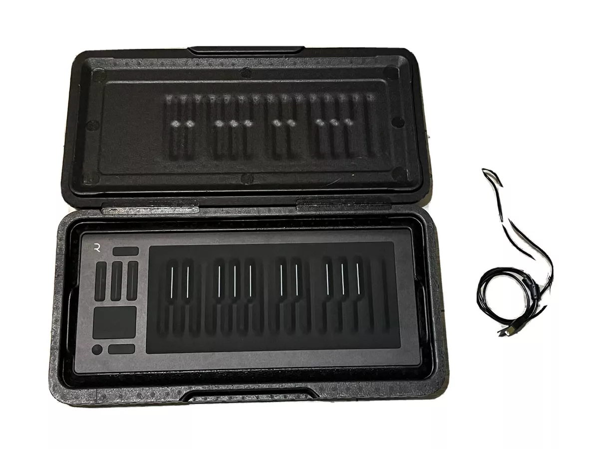 Seaboard rise 25 deals
