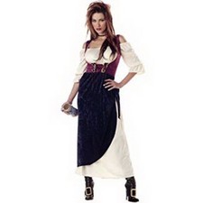 Medieval / Renaissance Wench Costume 2 Pc Burg./Navy/Cr Chemise Overdress S/M