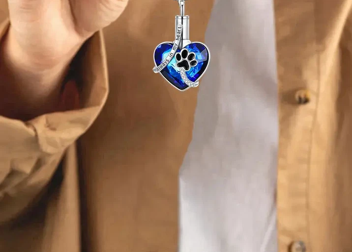 URNA CENIZAS ANIMALES CREMACIÓN MEMORIAL PERRO GATO Dije en 24" Cadena Plata 925 Chapada Foto 4 de 4