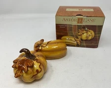Astor Lane PUMPKIN Salt & Pepper Shakers w/Box & Stoppers