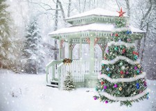 10x8ft Winter Snow Xmas Tree Garden Scene Photo Background Vinyl Studio Backdrop