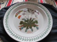 1980s Portmeirion Botanic Garden Dinner Plate MADE IN ENGLAND Venus's Fly Trap