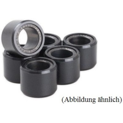 Bando Variator-Rollen 25 g 28 x 20 mm Set   8 Stück für Motorräder Honda FJS SWT