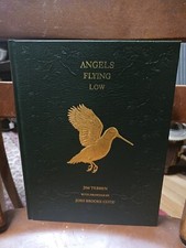Angels Flying Low Jim Tebben Illus Josh Brooke Cote Signed Limited First Ed.