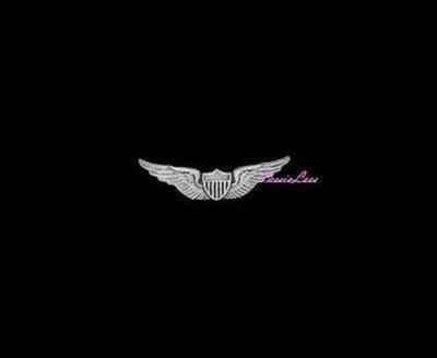 USA Pilot Wings + a custom promo pin 
