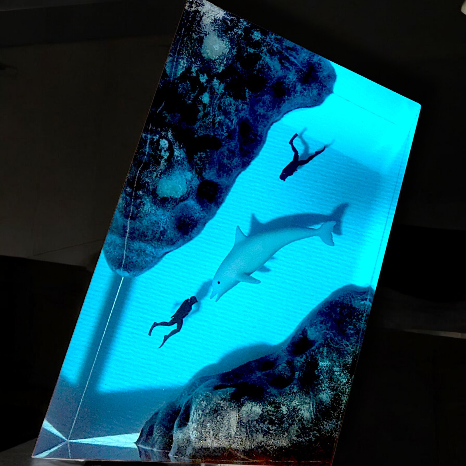 Epoxy Wood Dolphin Ocean Lamp Resin Diver Light Decor Light Up Dolphin Art-image