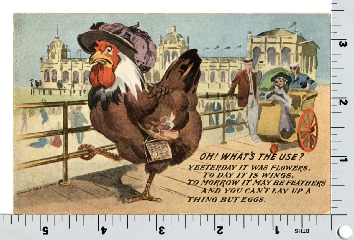 Chicken purse ebay new arrivals