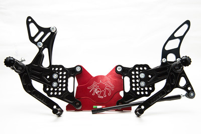 Kawasaki ZX6R 09 18 + Foldable Footpegs Cod SP63/P | eBay