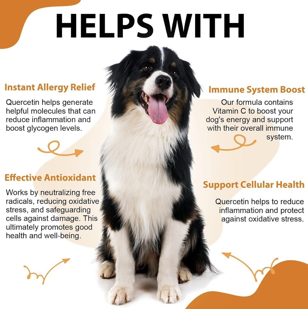 Quercetin with Vitamin C for Dogs Quercetin for Dogs Allergies