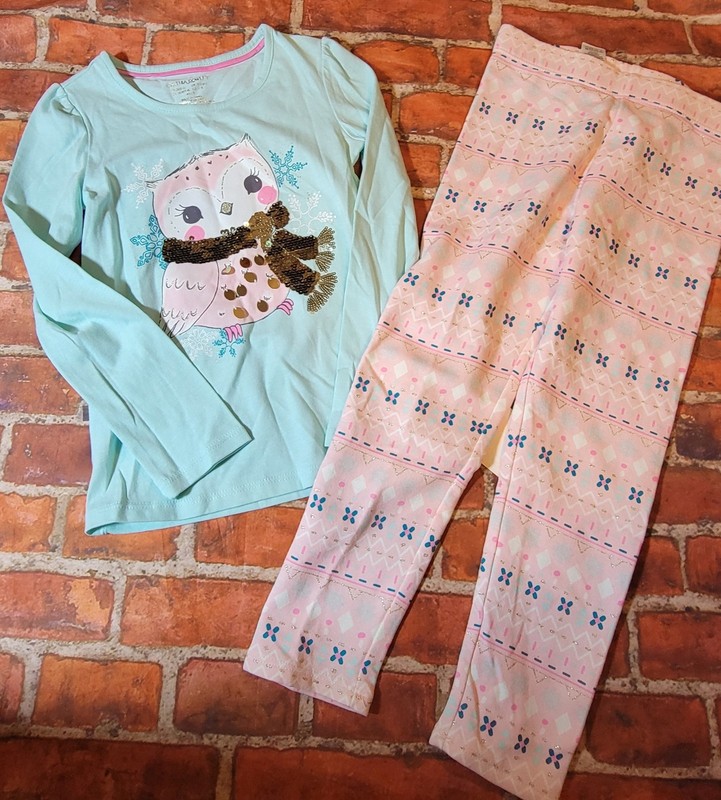 Cynthia Rowley Girls Owl Set Sz 5/6 5 6 Nwt Leggings Are Fleece Lined