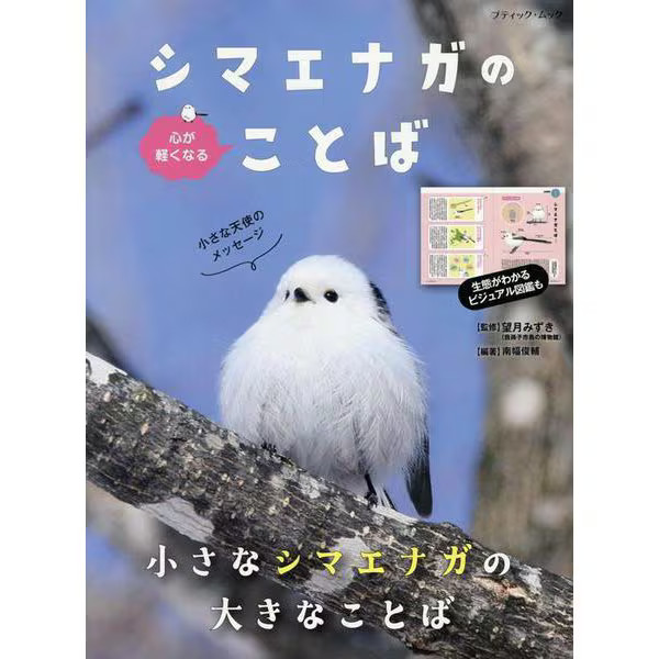 Shimaenaga Boutique Mook Book Excellent For Ages 14+