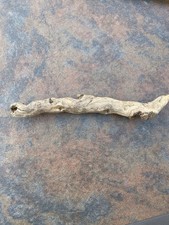 Natural Driftwood for Plants Terrarium Taxidermy Art Projects