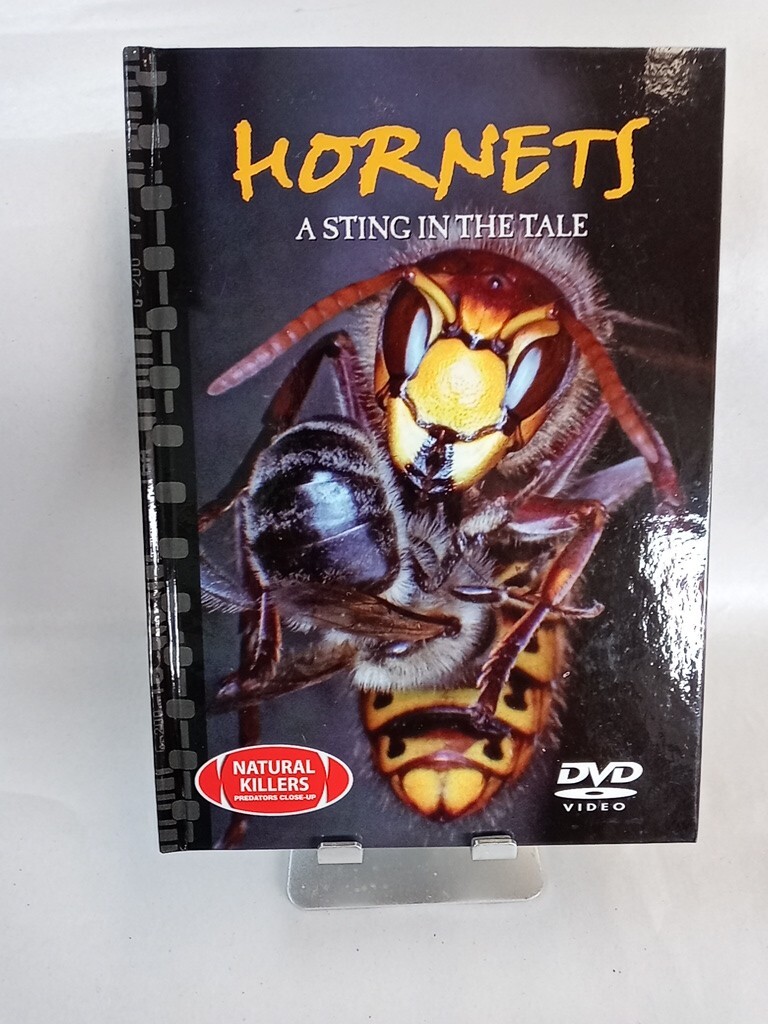 Hornets A Sting in the Tale - Natural Killers Predators Close-Up