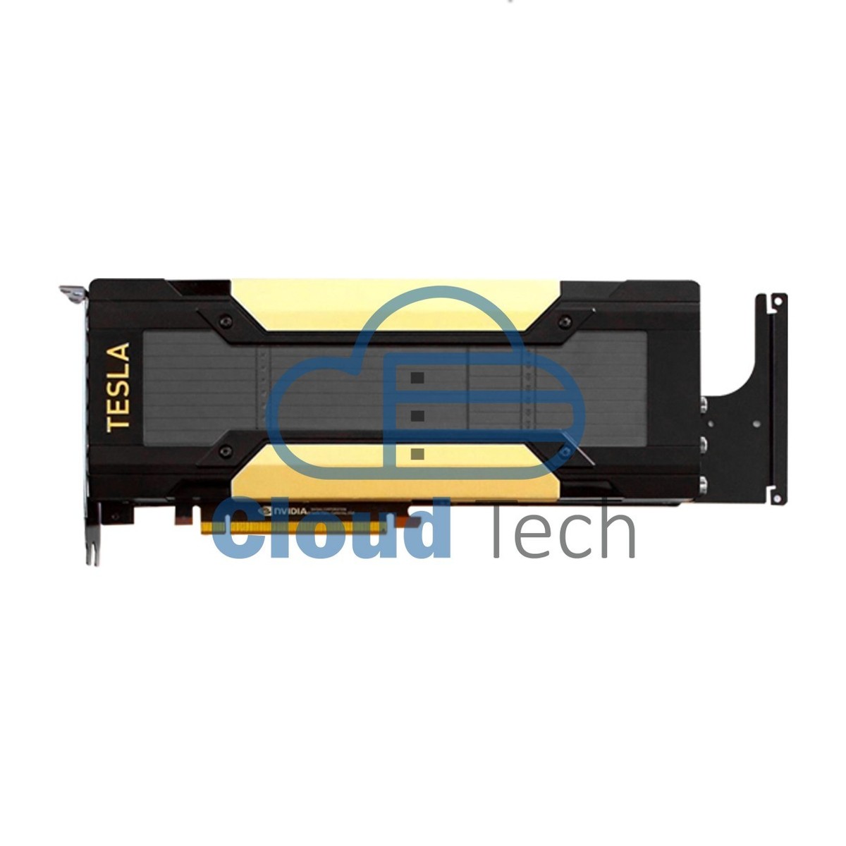 innaffia il fiore polo silenzioso tesla v100s 32gb manager palla