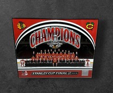 2015 Stanley Cup Champions Chicago Blackhawks Framed Team Poster NHL NHLPA