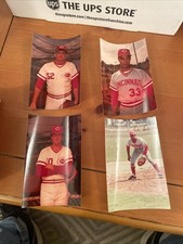 Cincinnati Reds Type 1 Snapshot Photo Lot, 20 Photos, Minor League E10