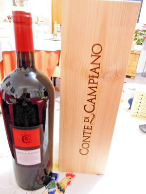 MAGNUM in HK Negroamaro Appassimento Conte di Campiano APULIEN 2021 ERSTKLASSIG
