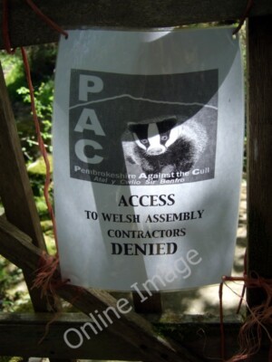 Photo 6x4 Access Denied to badger cull contractors Nevern/Nanhyfer See P c2010