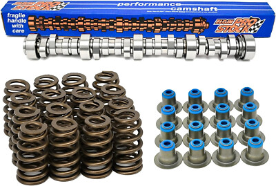 ELGIN E1841P Sloppy Stage-3 Camshaft + Springs Chevy LS 5.3 6.0 .595'' USA-MADE